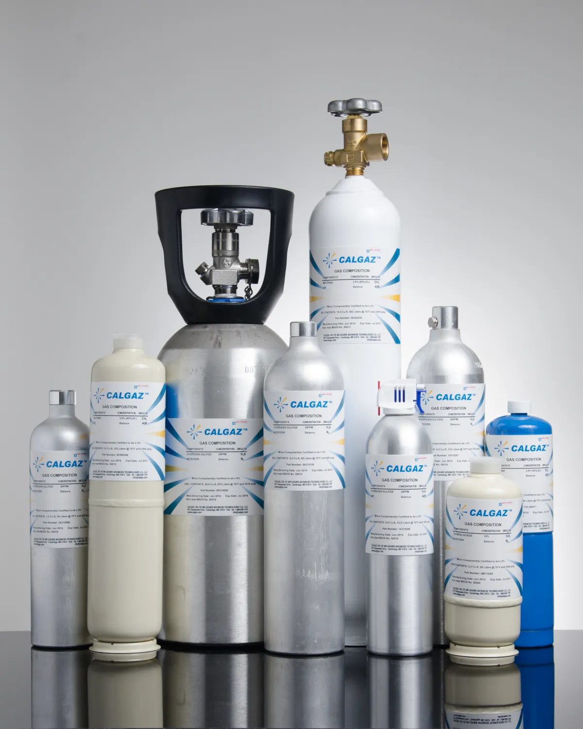 Gas Analyzers and Gas Detection Solutions 